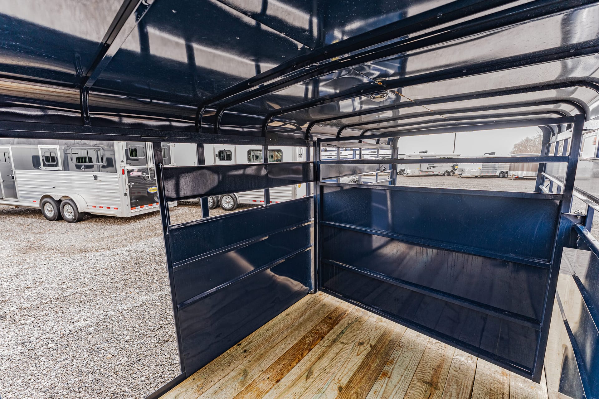 Interior view of a dark blue horse trailer, showing partitions and a wooden floor, with other trailers visible outside in a lot.