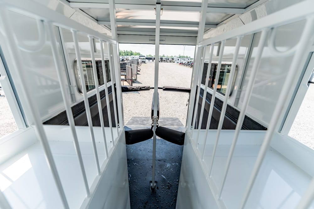 Interior of a white livestock trailer viewed from the back, with metal bars on both sides and an open yard with other trailers ahead.
