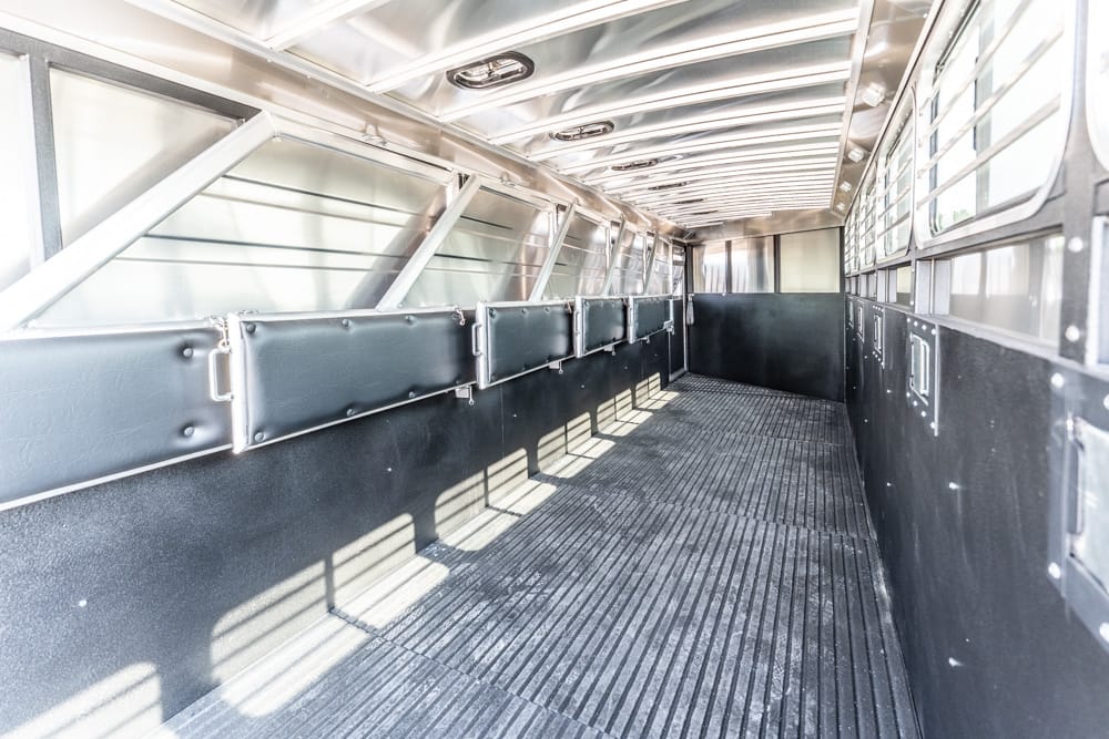 Empty horse trailer interior with blue padded dividers along the left wall and ribbed rubber floor under bright overhead lights.