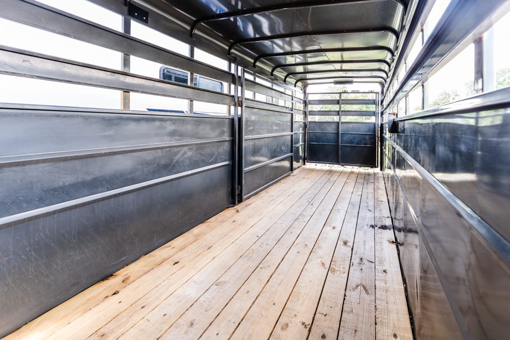 Interior of an empty black metal livestock trailer with wooden planks on the floor and slatted metal sides, daylight at the rear gate