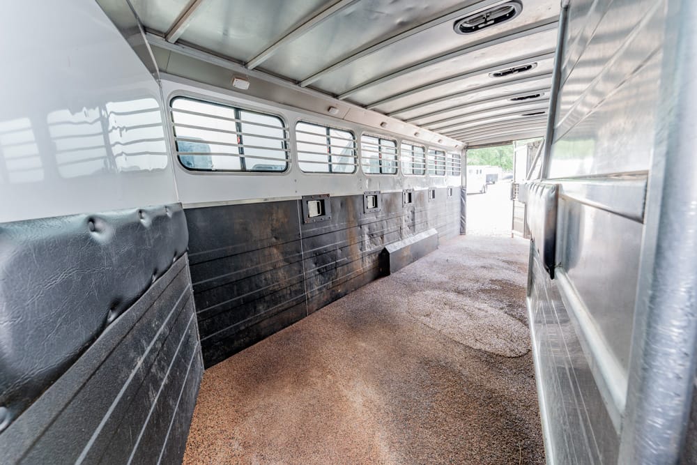 Interior of an empty livestock trailer with side windows and padded lower walls.