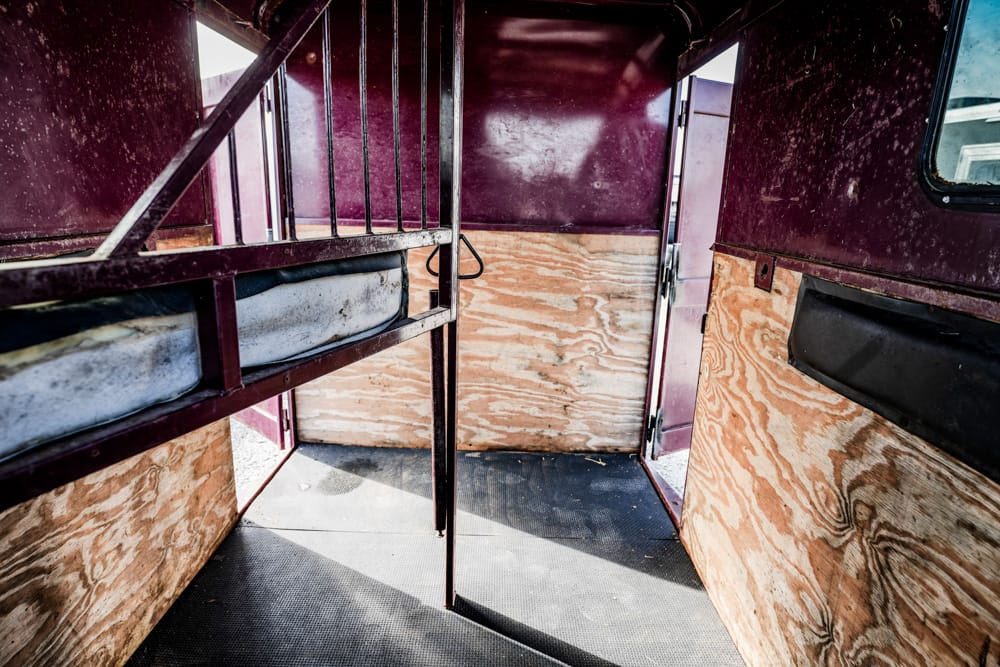 Interior of a pink bus converted to a bunk space, showing a metal loft bed and plywood walls.