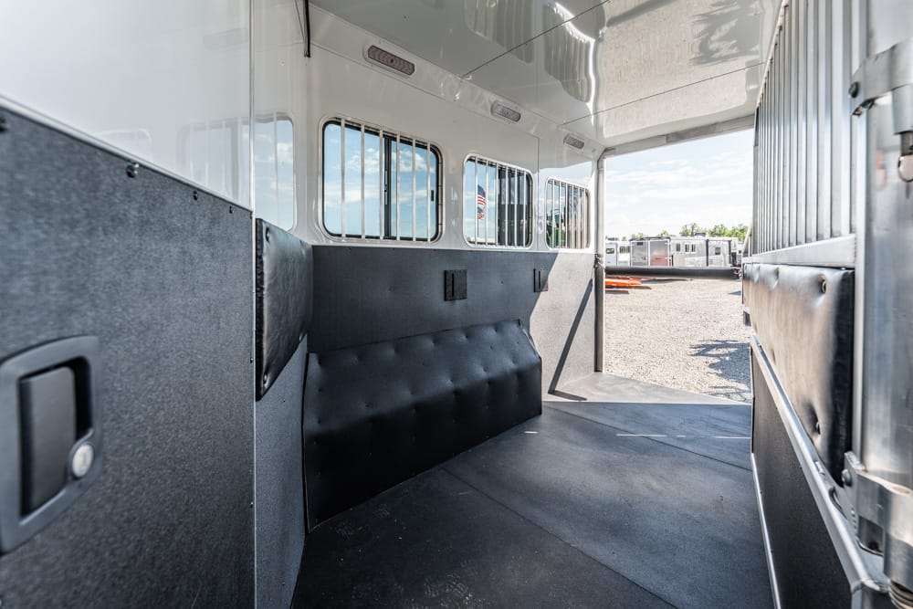 Interior of a white horse trailer with padded black walls and barred windows, ready for transport.