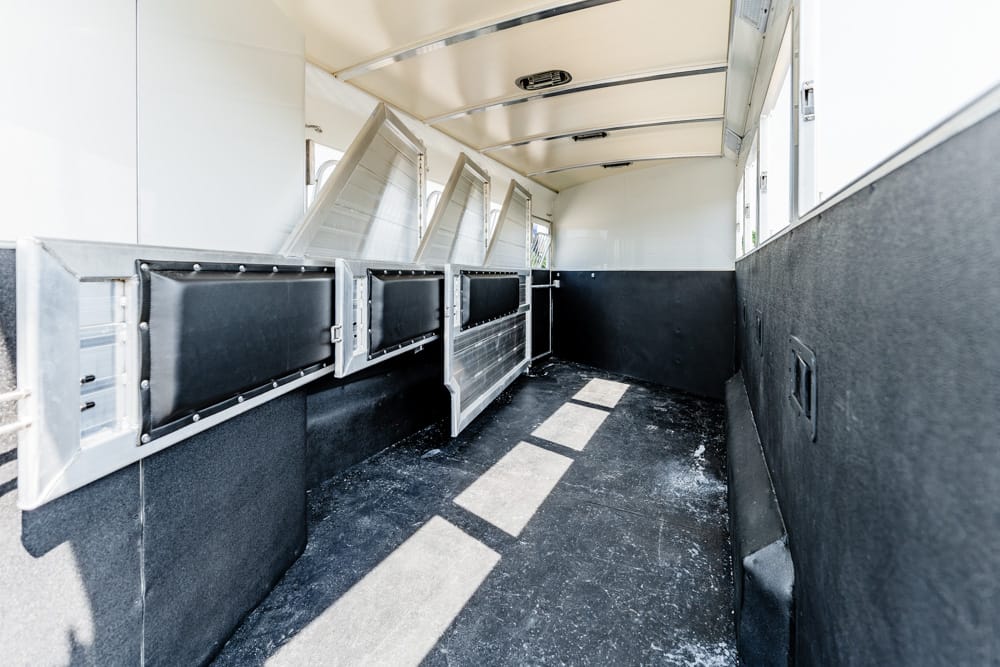 Interior of a horse trailer with multiple metal divider stalls along the left wall, black padded panels, and a rubberized floor bathed in sunlight from the windows along the right side.