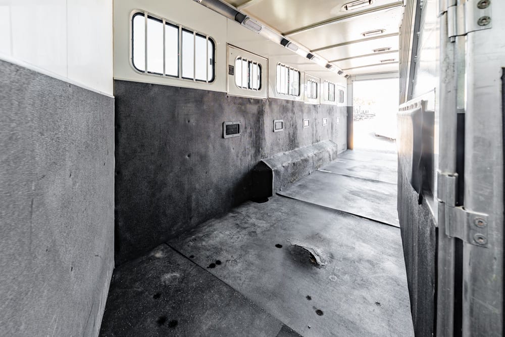Interior of an empty animal/haul trailer with padded gray walls, small upper windows, and a bright open rear doorway.
