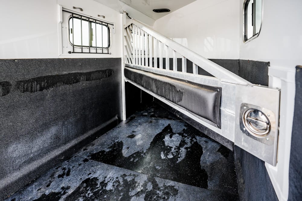 Interior of a horse trailer showing padded side walls, a raised divider, and a wet rubber floor area behind a barrier ramp windowed wall paneling.