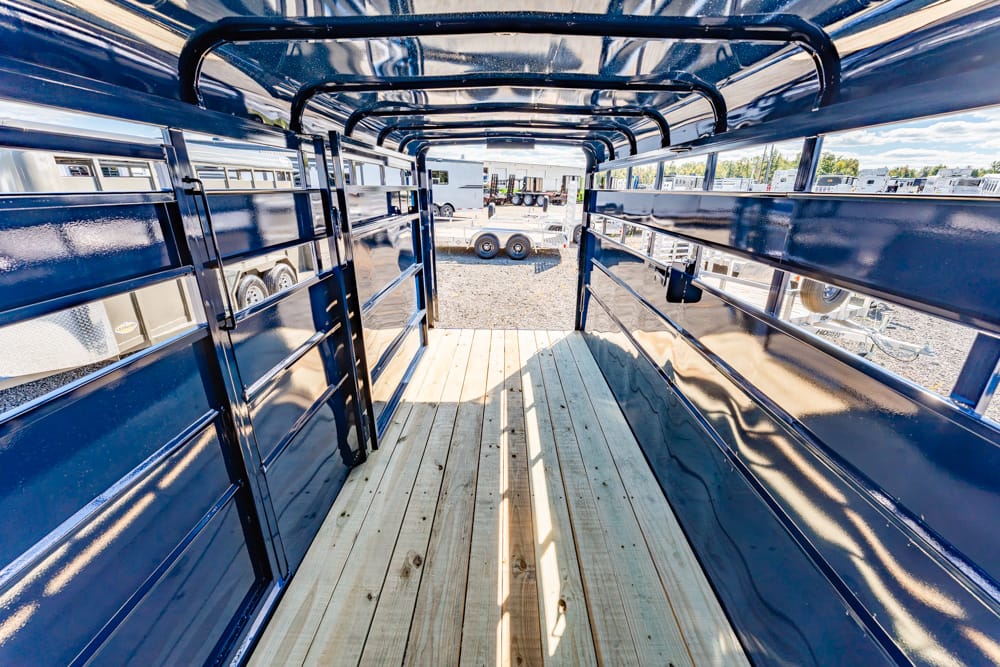 Blue livestock trailer interior with wooden floor, curved rails along sides, leading to an open exit.