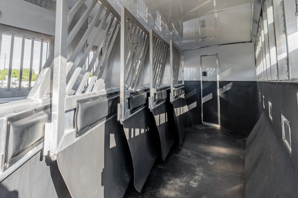 Interior of a metal horse trailer with row of stalls and padded walls along the left side of the trailer interior