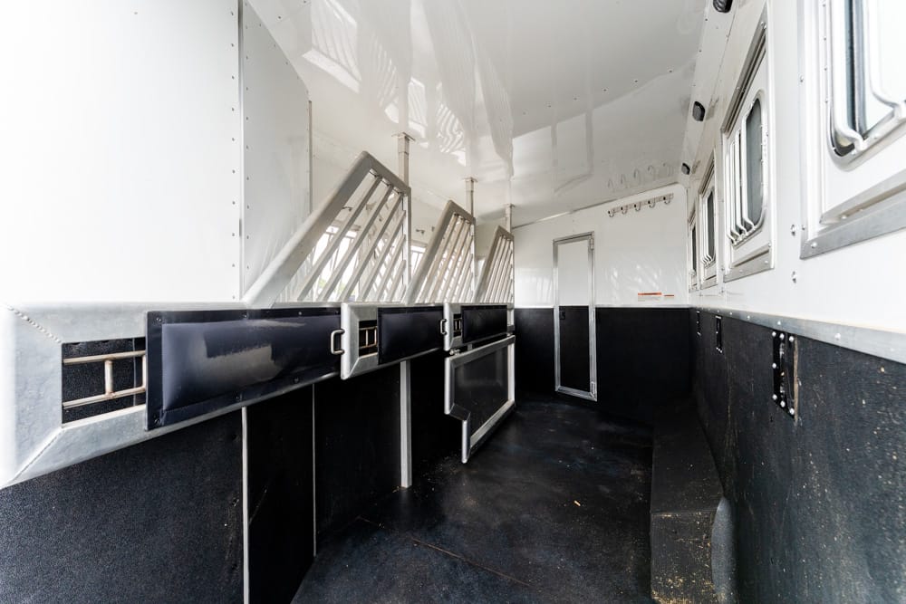 Interior of a white horse trailer with metal stalls along the left and black padded lower walls, windows along the right wall, viewed toward the front.