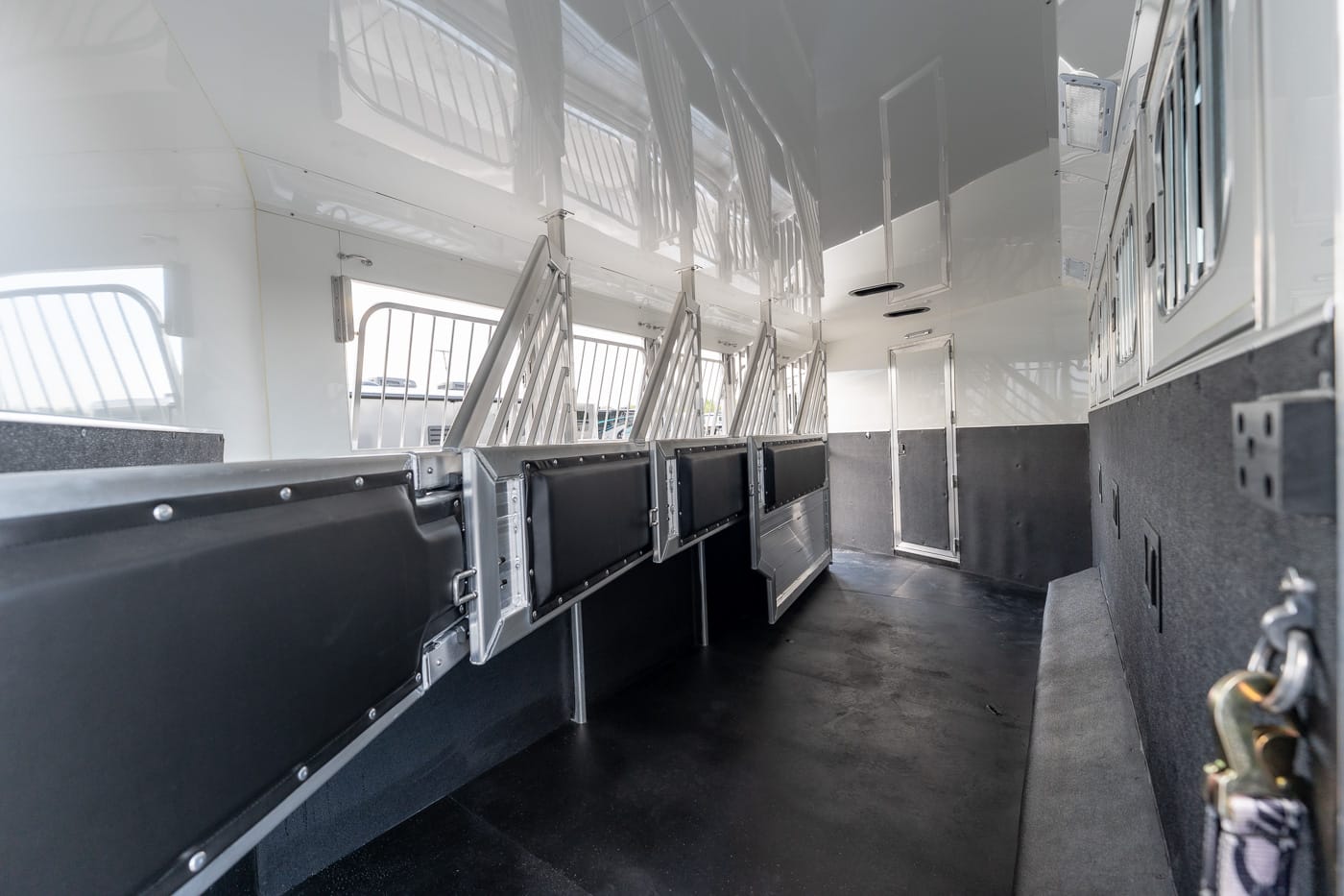 Interior of a white horse trailer with a row of padded stalls and metal dividers along the left side