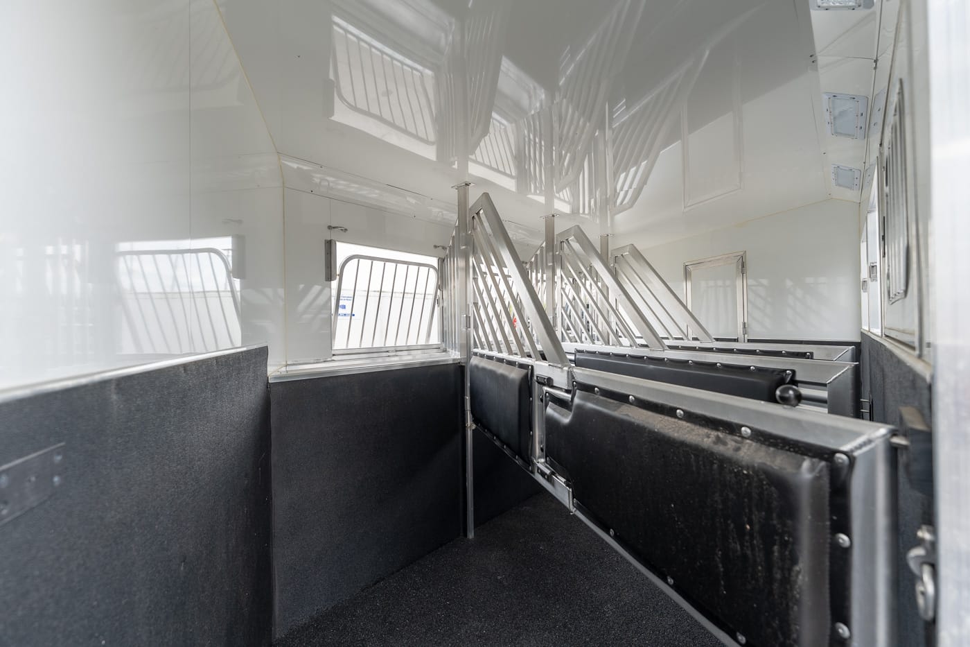Interior of a white horse trailer with metal divider rails and black padded stalls, empty at the moment.