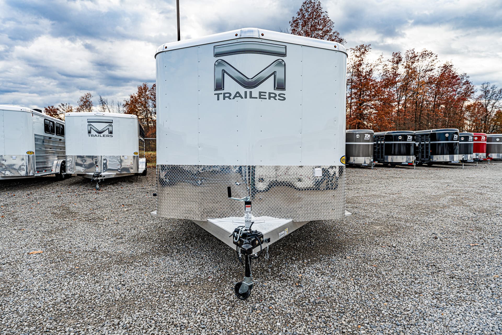 Image 2 for SKU 43710