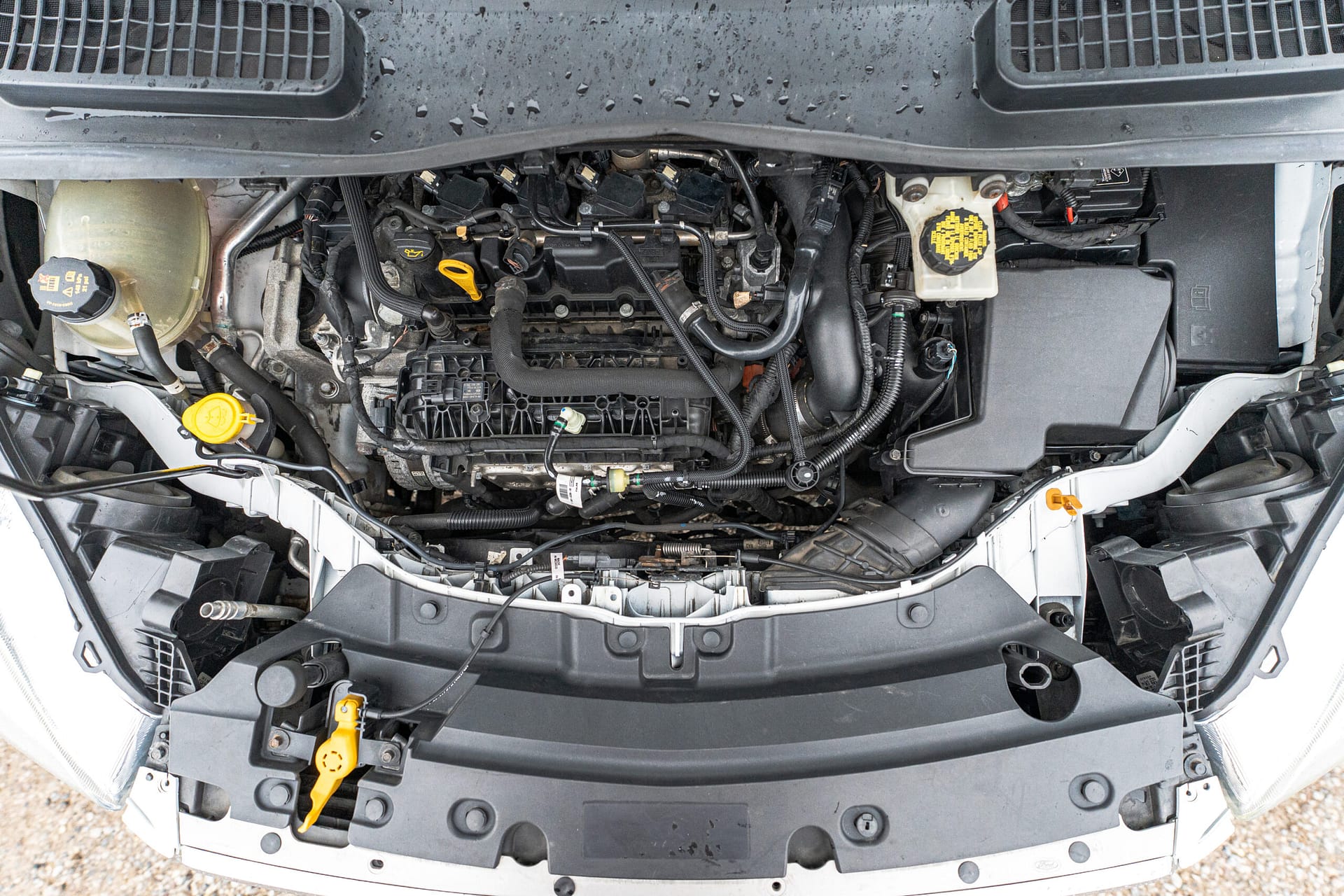 Image 14 for SKU 44115