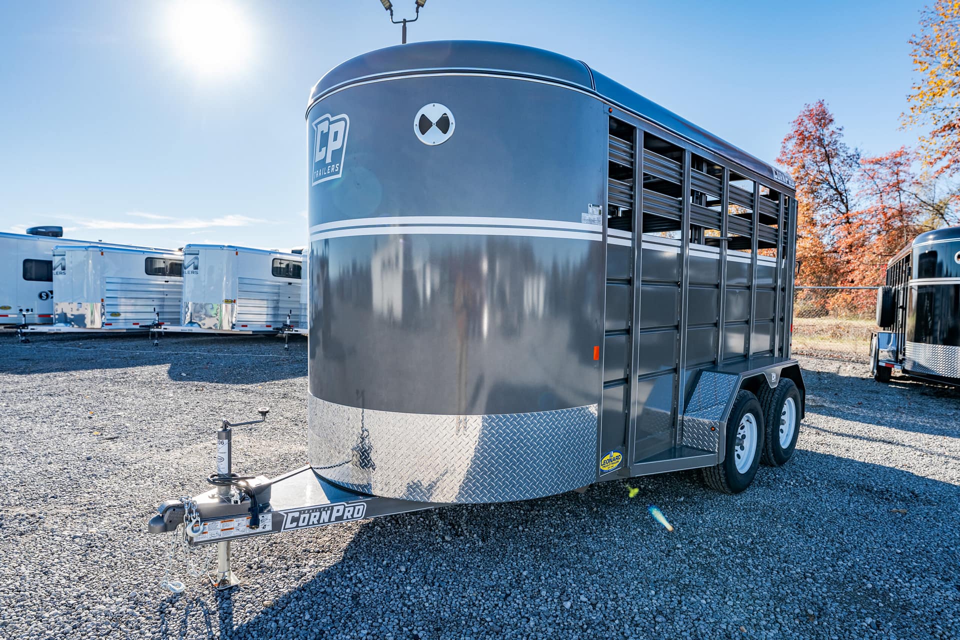 Image 1 for SKU 44206