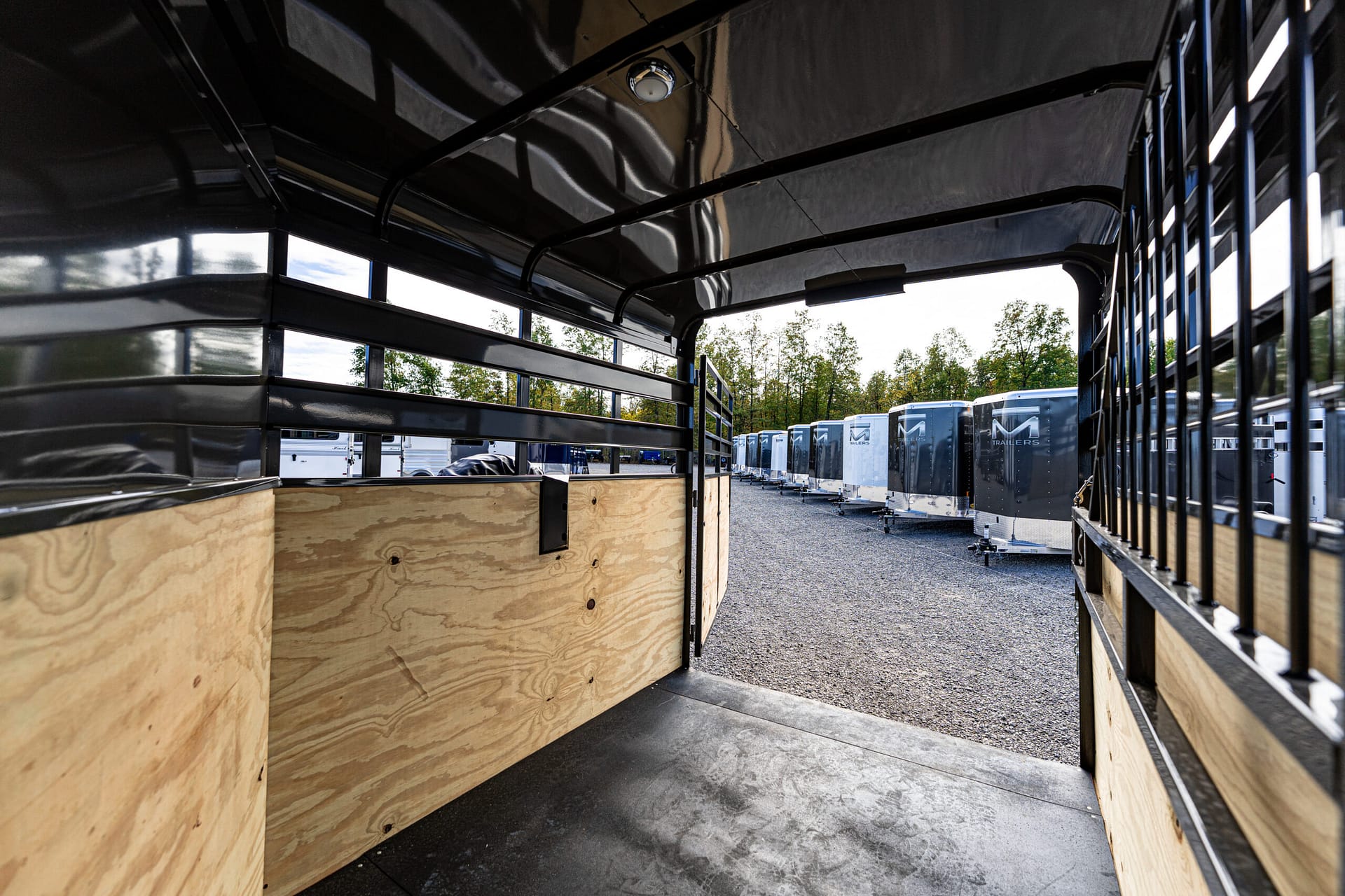 Image 17 for SKU 44262