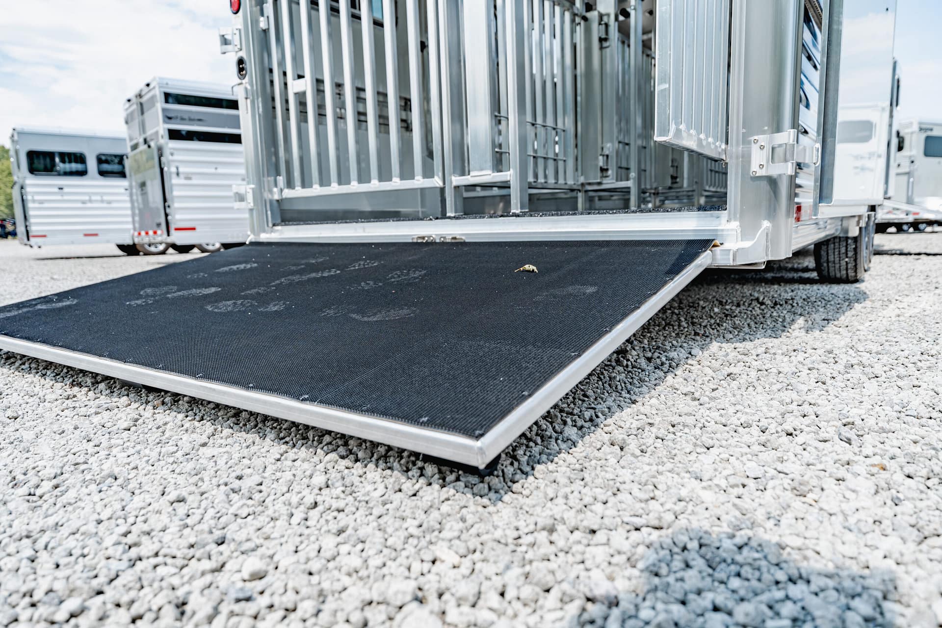 Image 14 for SKU 44455