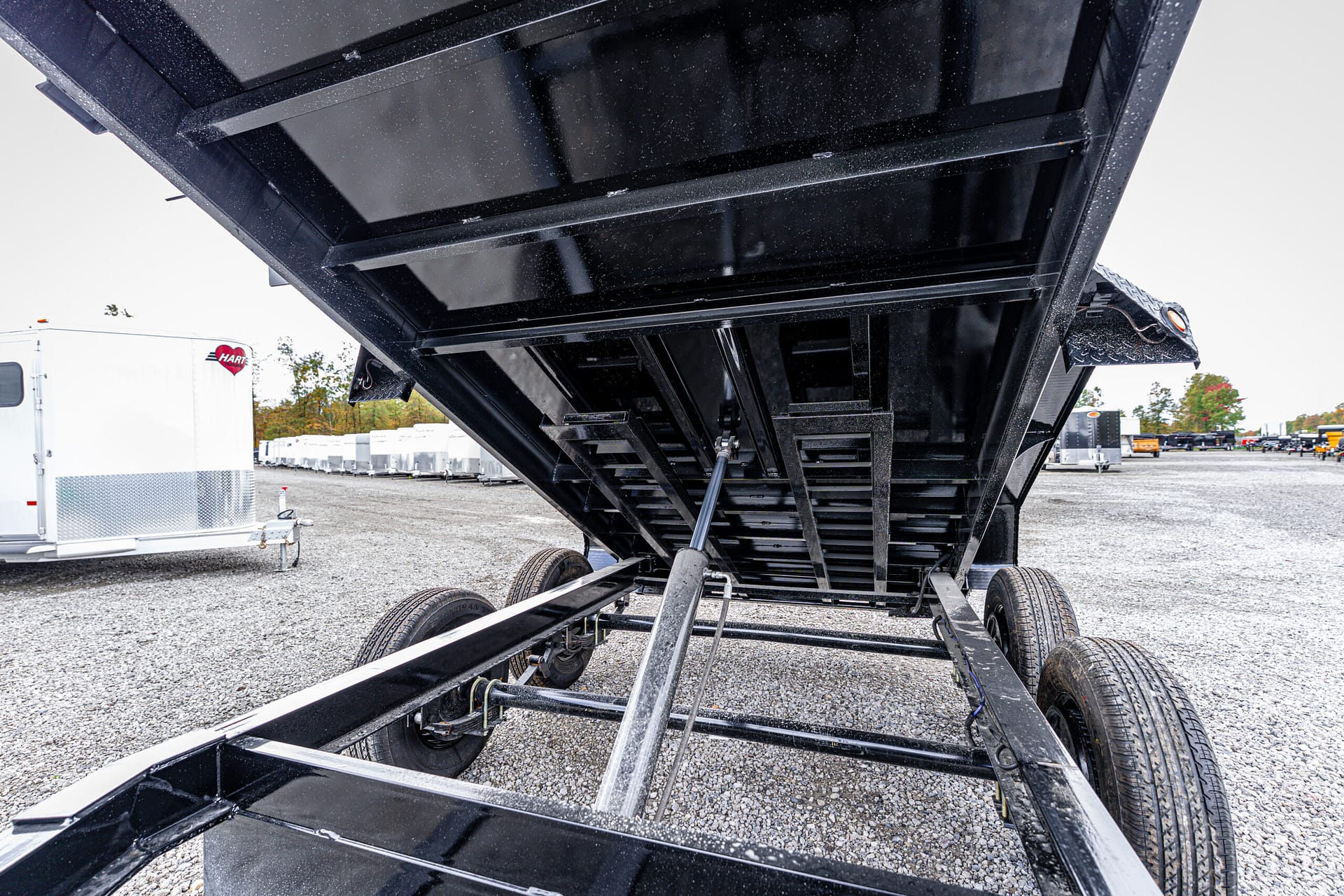 Image 21 for SKU 45029