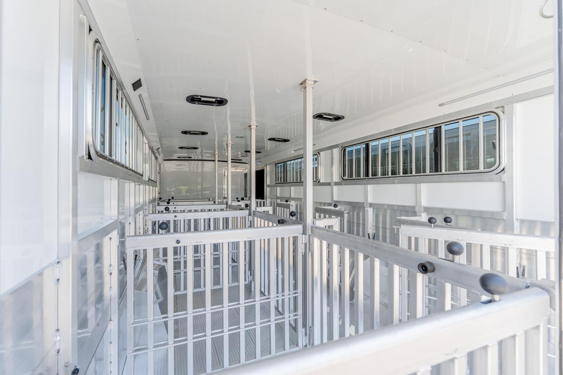 Interior of a white livestock trailer with rows of metal pens and rails along the sides, windows visible outside the stalls.